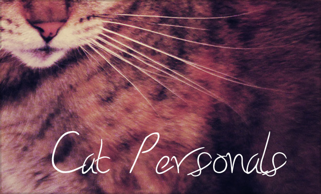 Cat Personals (We Love Your Creativity)